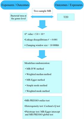 Causal relationship between gut microbiota and type 2 diabetes: a two-sample Mendelian randomization study